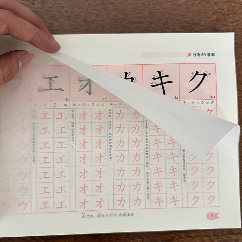 Chinese Calligraphy Practice Book - Sıfır Yeni Başlayanlar İçin Japonca Hiragana