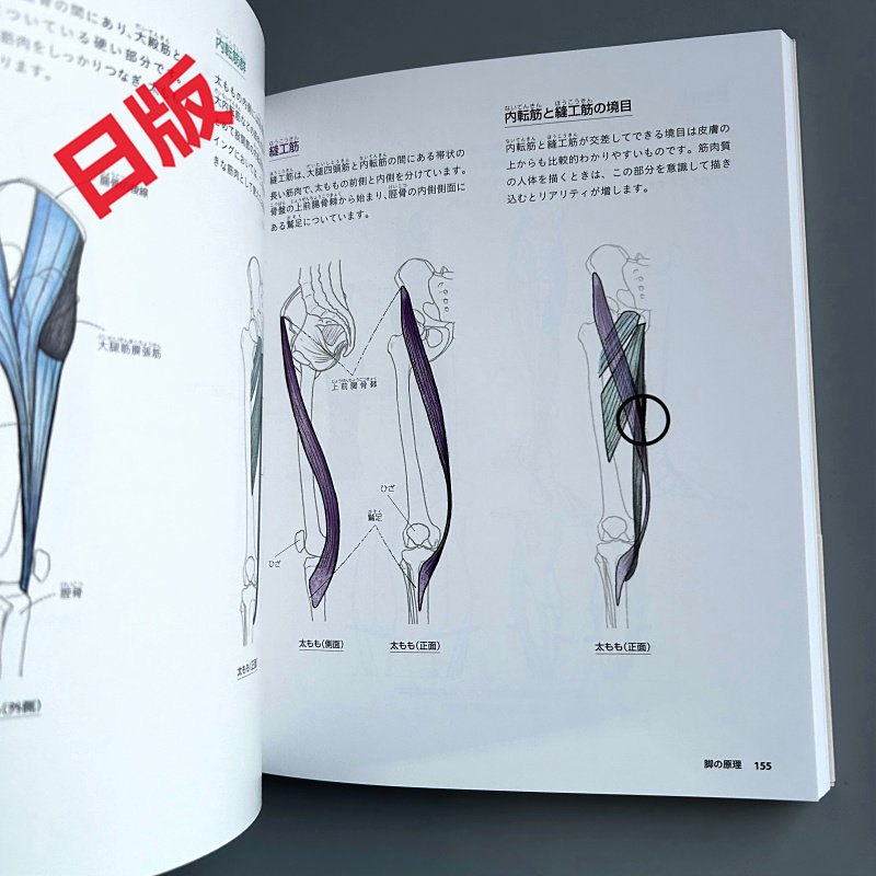 İnsan Vücudu Çizimi Temelleri: - Japanese Manga Drawing Tutorial Book incelemesi ve fiyatı